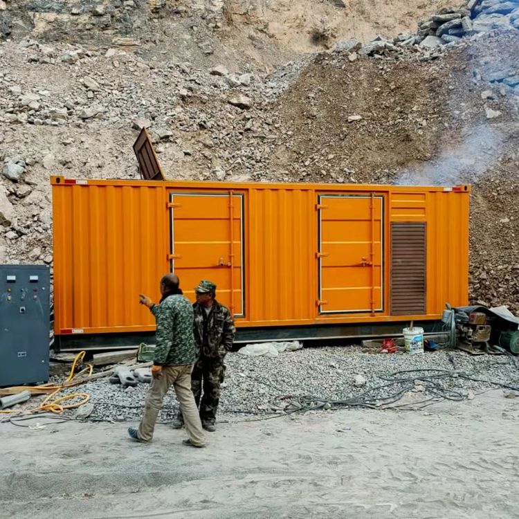 丰都如何降低 200kW 柴油发电机在高海拔地区的油耗？